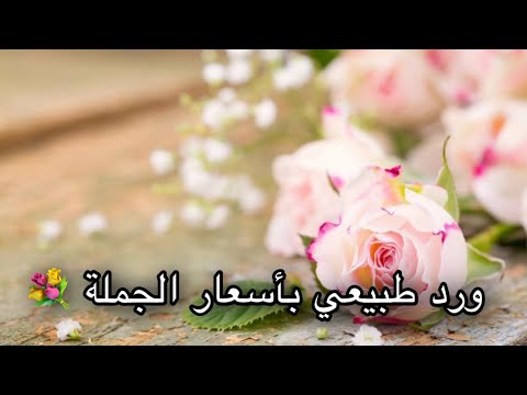 أرخص محل لبيع الورد الطبيعي بسعر الجملة 