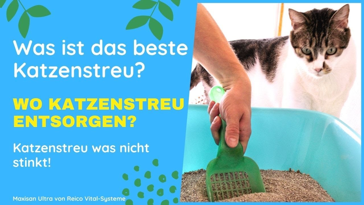 Welches Katzenstreu ist gut? Katzenstreu welche Tonne? Aufn Kompost
