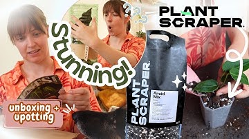 Such a good plant haul from PLNTS.com 🌿Unboxing + Upotting 👩🏻‍🌾