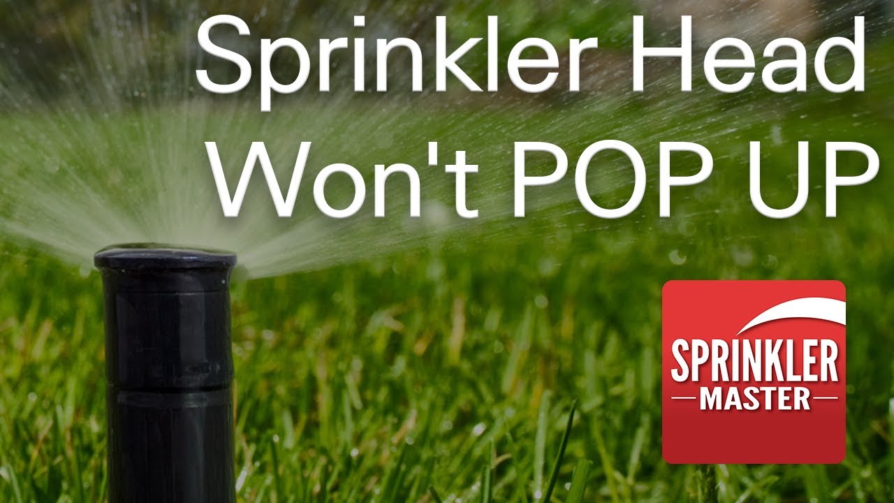 Sprinkler Head Won t Pop Up YouTube Sprinkler Head Won t Pop Up YouTube