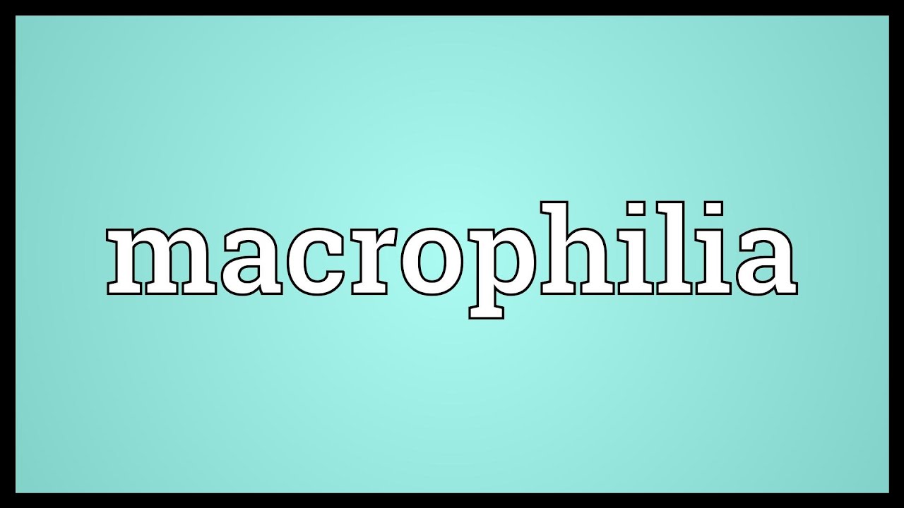 Macrophilia Macrophilia