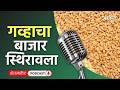 Cotton, Soybean Rate: कापूस बाजार, सोयाबीन दर, कोथिंबीर भाव, गवार रेट | Agrowon