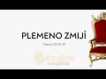 117 plemeno zmij  matou 232939