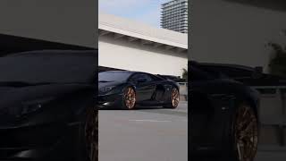 Crazy Lamborghini Aventador Svj