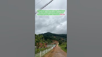 Mảnh đất 2 mặt tiền view đẹp ngắm thông và săn mây 🌿☁️ #datvendalat #nghiduong #dalat #cuocsong