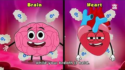 What if You Hold Your Breath for Too Long? | Breathing Mechanism in Human Beings | Dr. Binocs Show