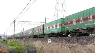 JR貨物　東海道本線　8865レ/56レ　2019.06.15