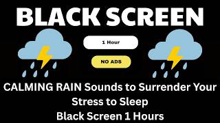 CALMING RAIN Sounds to Surrender Your Stress to Sleep | Black Screen 1 Hour