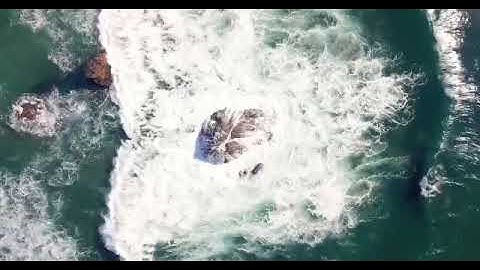 تلاوة ماتعة من صدر سورة يونس الآية  بصوت أخينا المجاهد  محمد بن عصام الشوافي تقبله الله ورحمه