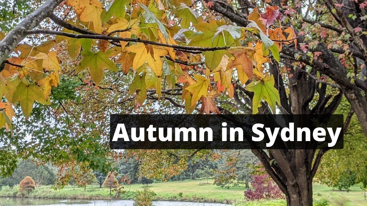 Centennial Park Royal Botanic Garden Autumn 2022 Secret Best Places centennial-park-royal-botanic-garden-autumn-2022-secret-best-places