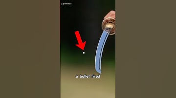 De ware kracht van Katana