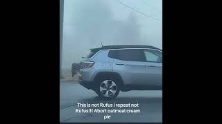 Download Lagu For a spit second i thought it can’t be Rufus MP3