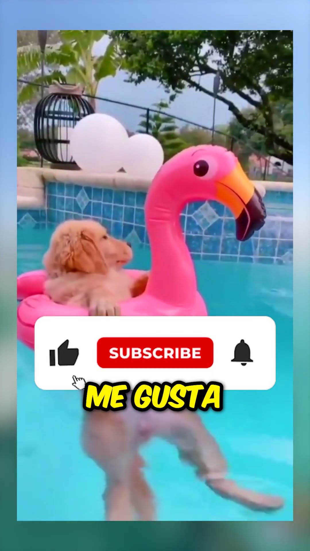 ¡Cayendo de la piscina infinita! ??‍♂️