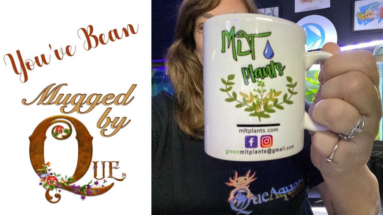 Coffee with Que Mugs and More YouTube