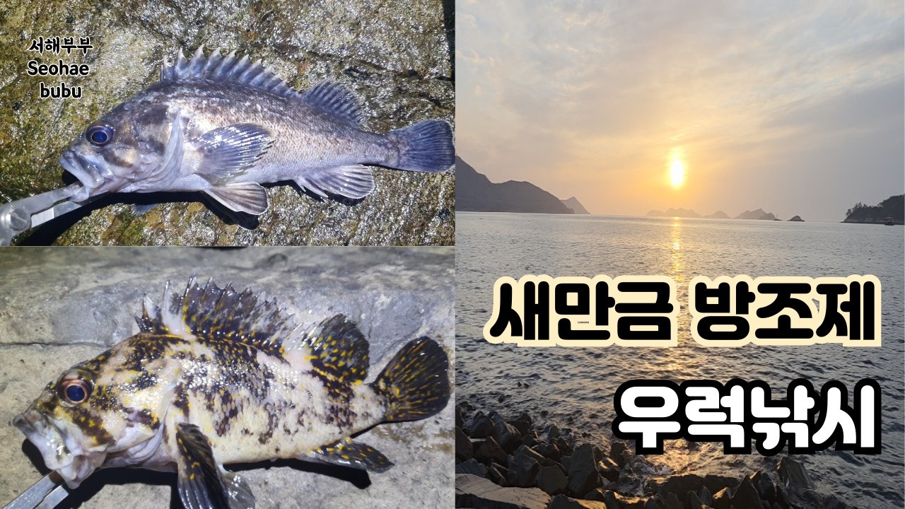 새만금방조제 우럭낚시 짝꿍 어복 터진날 4월18일 야신라인 우럭낚시 - YouTube