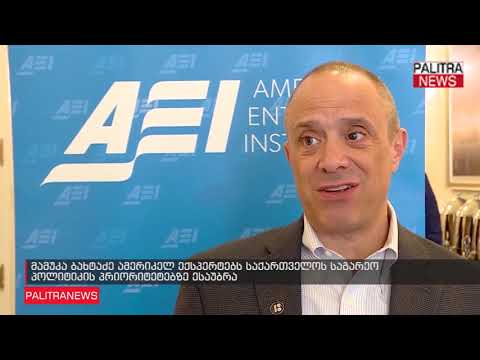 მამუკა ბახტაძე ამერიკელ ექსპერტებს საქართველოს საგარეო პოლიტიკის პრიორიტეტებზე ესაუბრა