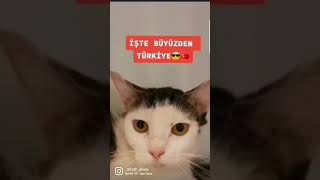 İşte Bu Yüzden Türki̇ye Diye Klip Yapmışlar İçine De Beni Koymuşlar Instagram 