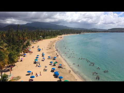 A Postcard from the Field: Luquillo Beach, Puerto Rico | Dateline NBC