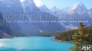 'SOOTHING RELAXATION' 200+ Amazing Nature Scenes in 4K  (w/Pure Nature Sounds) Ambient Film