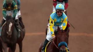 2026 Breeders' Cup World Championships at Keeneland