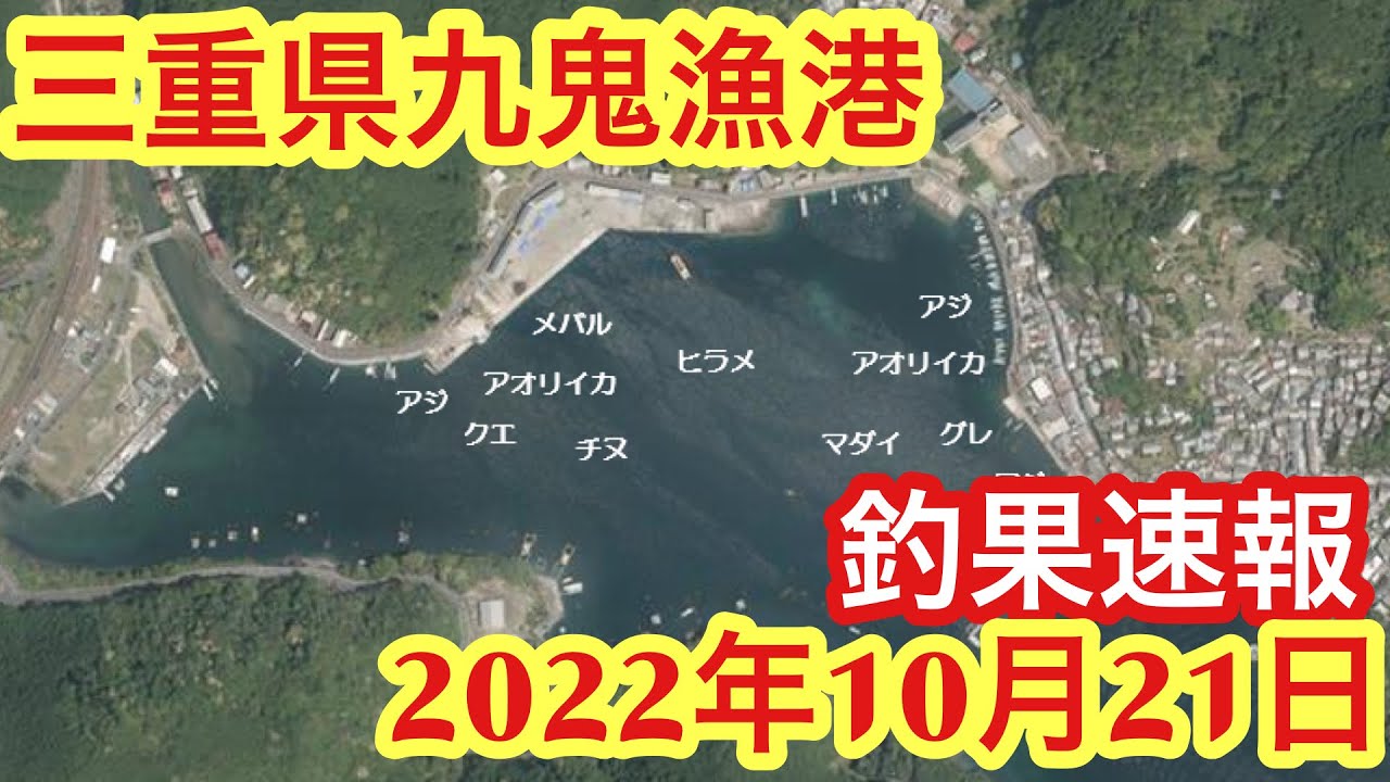 三重県釣り 九鬼漁港 釣果速報 2210月21日 Youtube