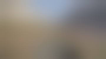 Magix Rust (236 devblog)