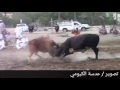 السولعي و المخزين حايط الخوير البداية ١٢ mp3