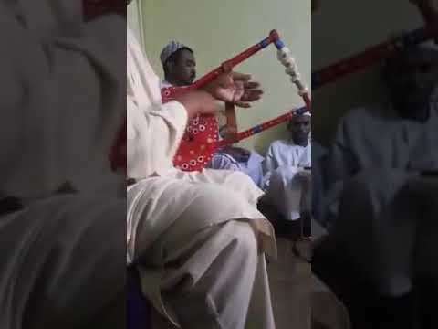 معاويه المقل وينو الحبيب نور الظلام ليه اختفي