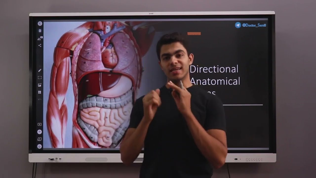 General anatomy / 2- overview of anatomy II