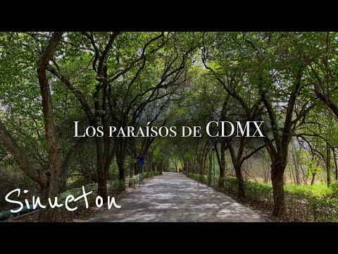 Vídeo: 6 De Los Mejores Lugares En El Centro De La Ciudad De México - Matador Network