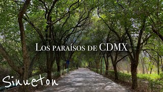 6 Lugares de CDMX donde olvidarás que existe el Caos