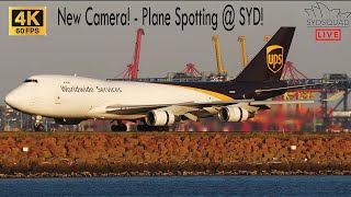 [4K/60] NEW CAMERA! Afternoon HEAVY Plane Spotting @ Sydney Airport - SydSquad Live!