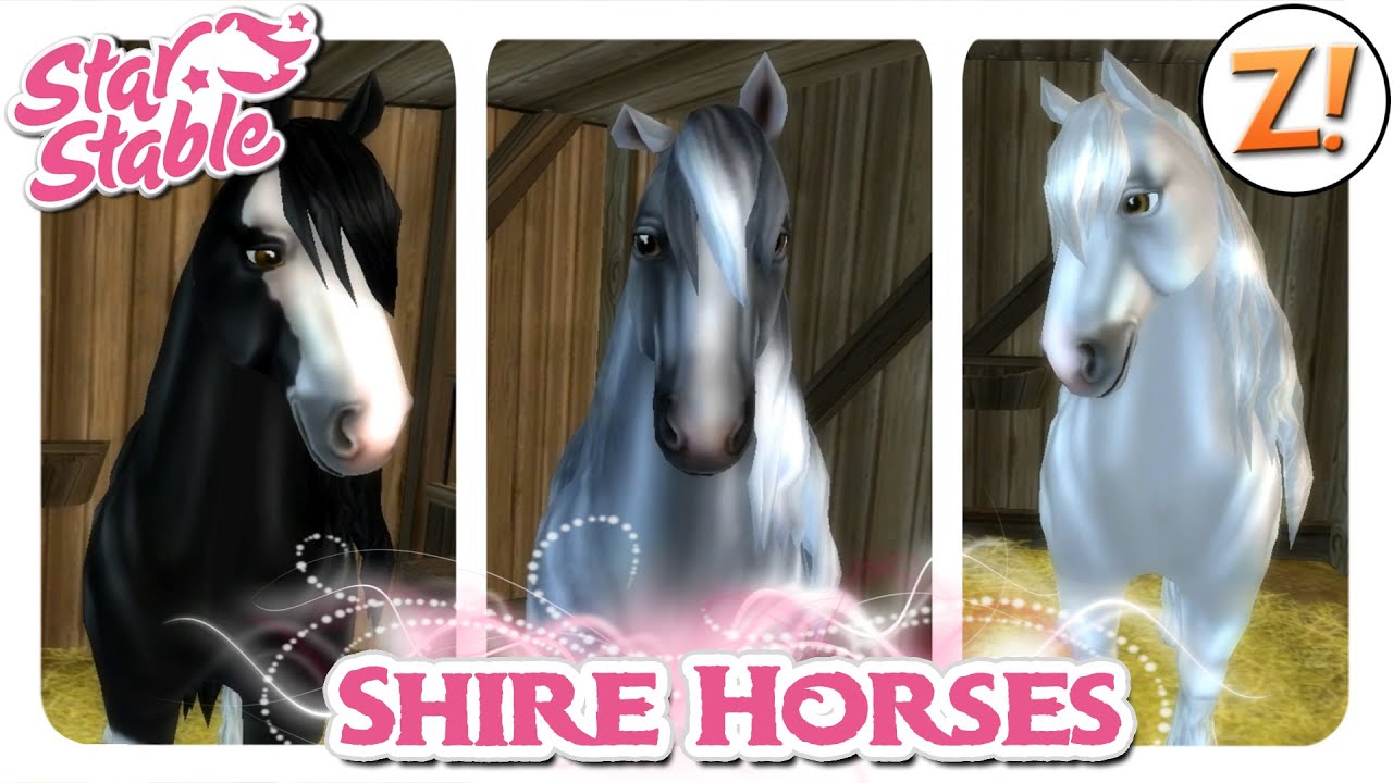 Star Stable [SSO]: Shire Horse - Neue Farben [Update 21.10.2015] | Let's Play ♥ [GER/DEU]