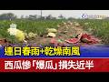 颱風造成農作物損失
