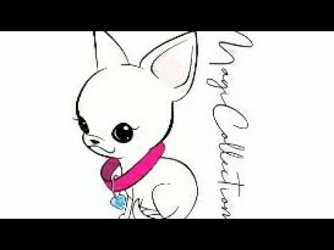 Video: Come Adattare Le Orecchie Del Chihuahua?