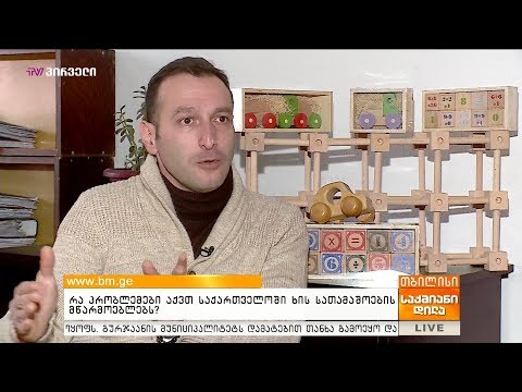 რა პრობლემები აქვთ საქართველოში ხის სათამაშოების მწარმოებლებს?