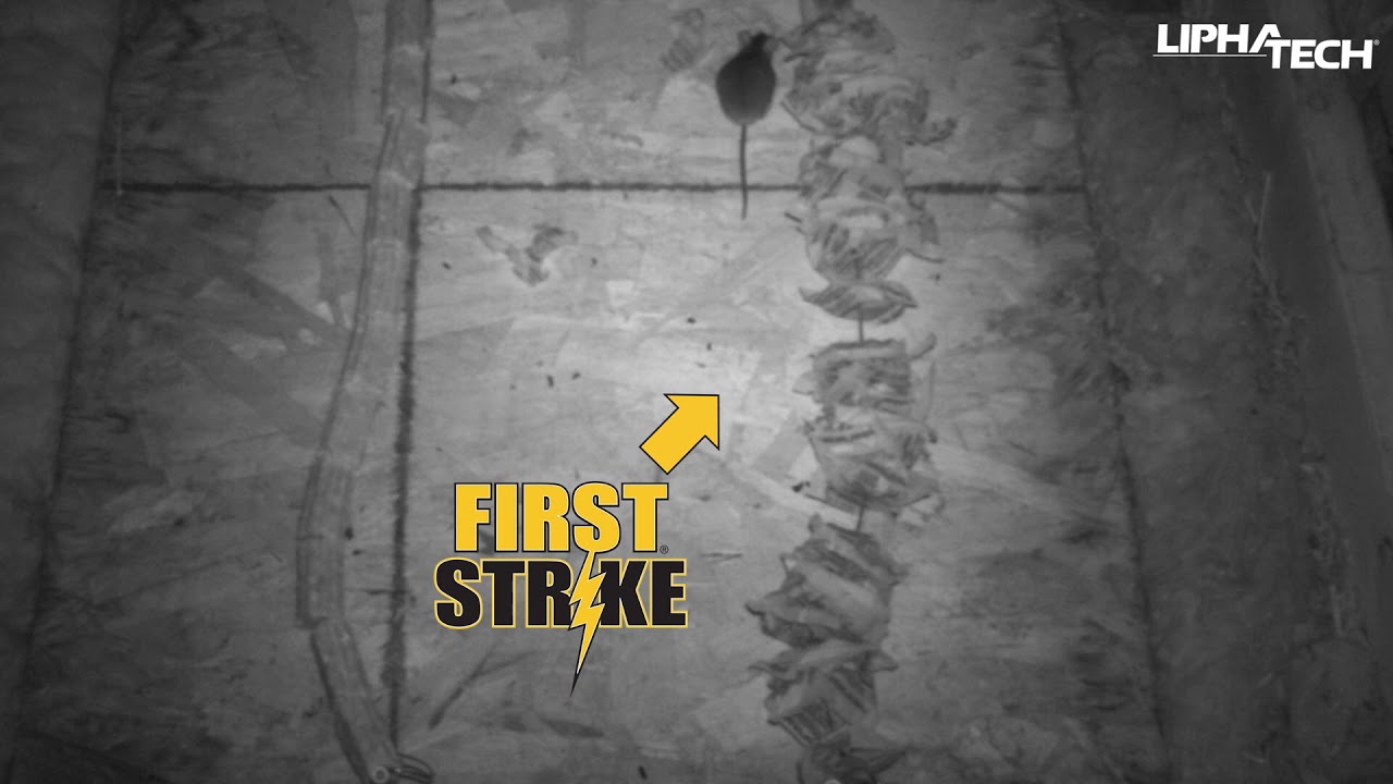 FirstStrike Devoured by Rodents 