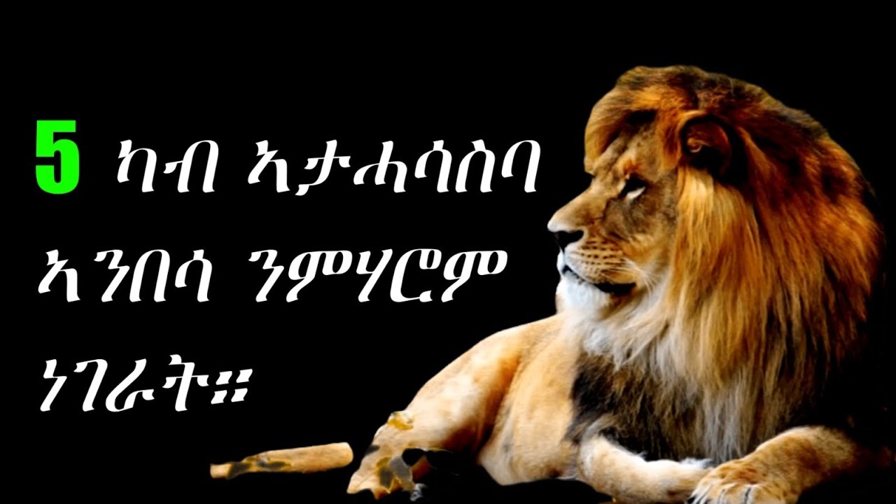 Tigrinya motivetion 5 lion Mentality