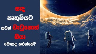 'මූන්ෆෝල්' Movie Review Sinhala | Ending Explained Sinhala | Sinhala Movie Review | Sinhala Recap