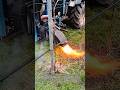 除草剤を使わない炎の除草機械:ブドウ畑を走る火炎除草作業