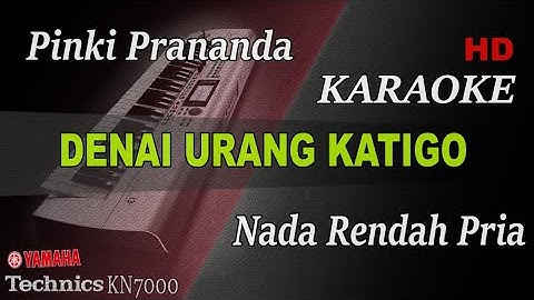 DENAI URANG KATIGO - PINKI PRANANDA ( NADA RENDAH PRIA ) || KARAOKE