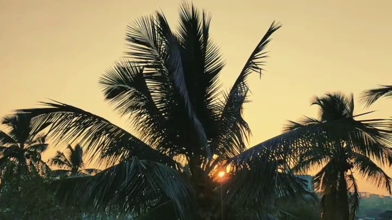 ATC EXAM.2020..EASY TO CRACK!!😊