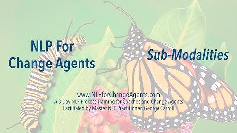 NLP for Change Agents - Sub-Modalities(Neuro Linguistic Programming)