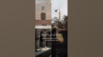 {فَدَعَا رَبَّهُ أَنِّي مَغْلُوبٌ فَانتَصِرْ} #سورة_القمر #احمد_النفيس #راحة_نفسية #قرآن_كريم