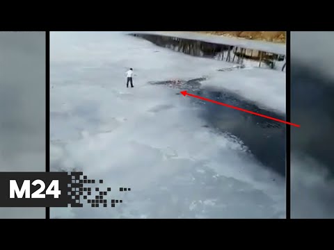 Двое мужчин едва не утонули в ледяной воде, спасая собаку