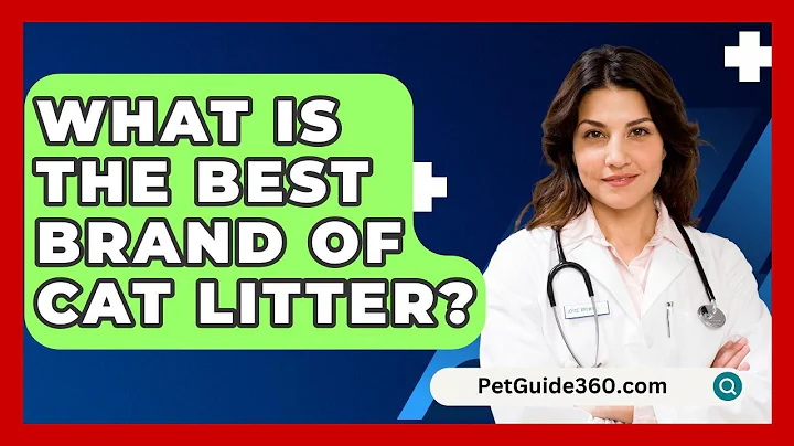 What Is The Best Brand Of Cat Litter? - PetGuide360.com