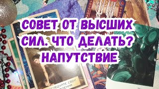 Выбери карту 🔮 Совет от Высших Сил. Что делать? 🔮 ГАДАНИЕ ОНЛАЙН НА ОРАКУЛЕ Выбери карту 🔮 Совет от Высших Сил. Что делать? 🔮 ГАДАНИЕ ОНЛАЙН НА ОРАКУЛЕ