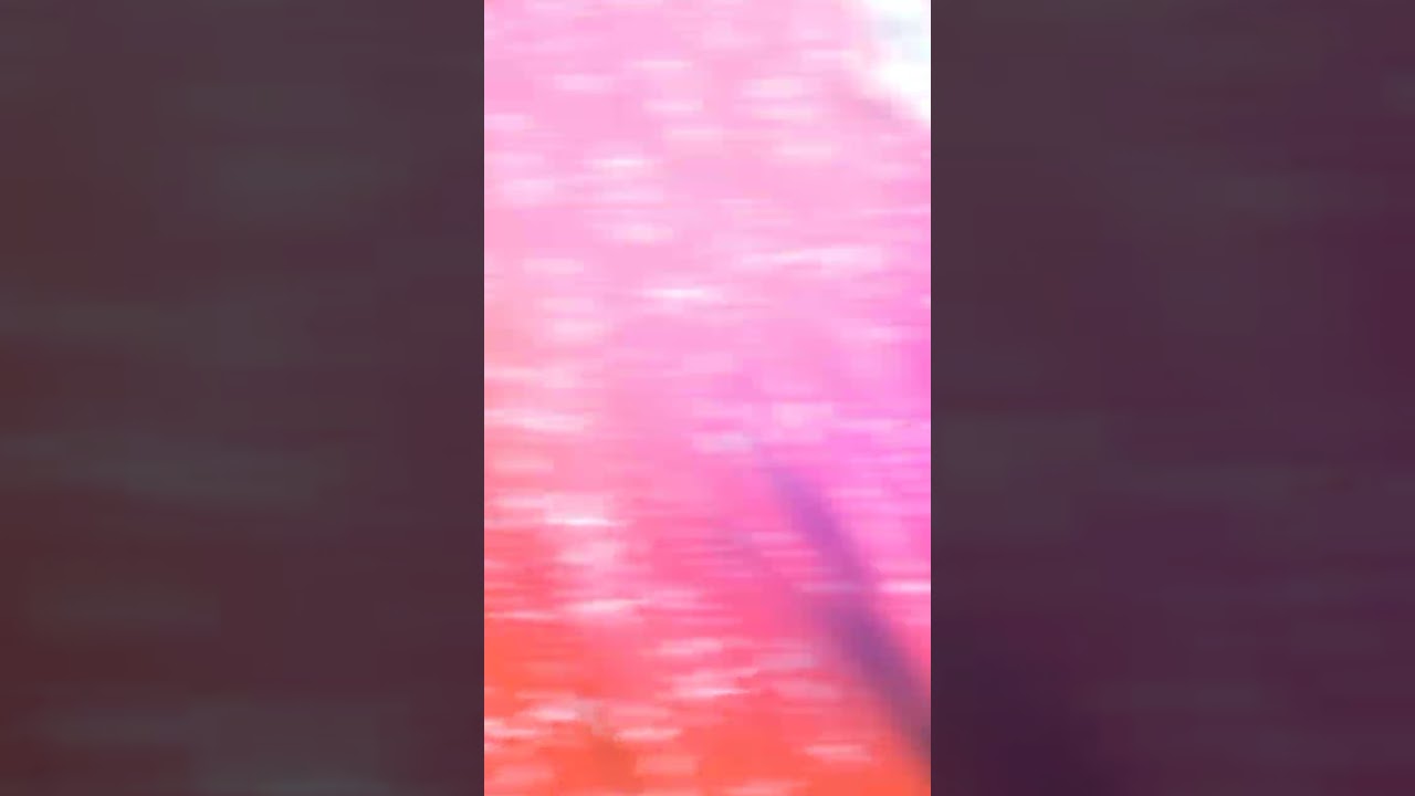 Simsim review (Designer kurta pant dupatta set) 