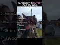 Ranking the Cutest Cat Noises Ever! 😂 #viral #shorts #cat