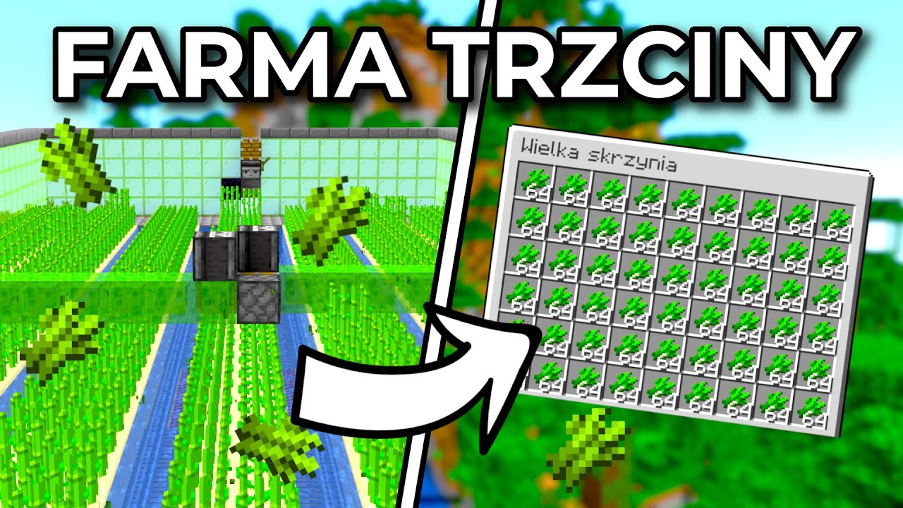 Jak Zrobić Farme Dyń W Minecraft Automatyczna Farma TRZCINY CUKROWEJ - Poradnik MINECRAFT 1.20+ - YouTube